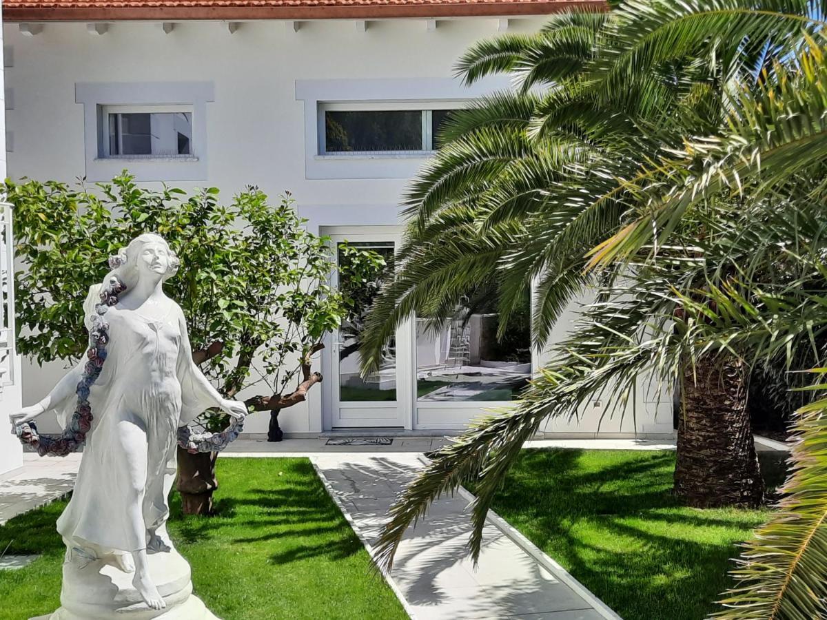 Palms Luxury